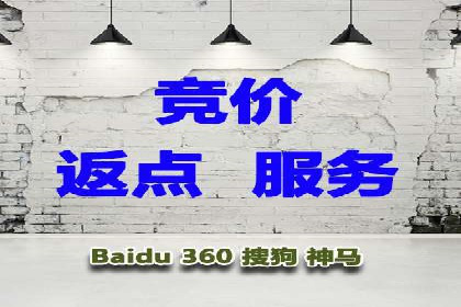成功案例：SEM推广助力企业拓展海外市场